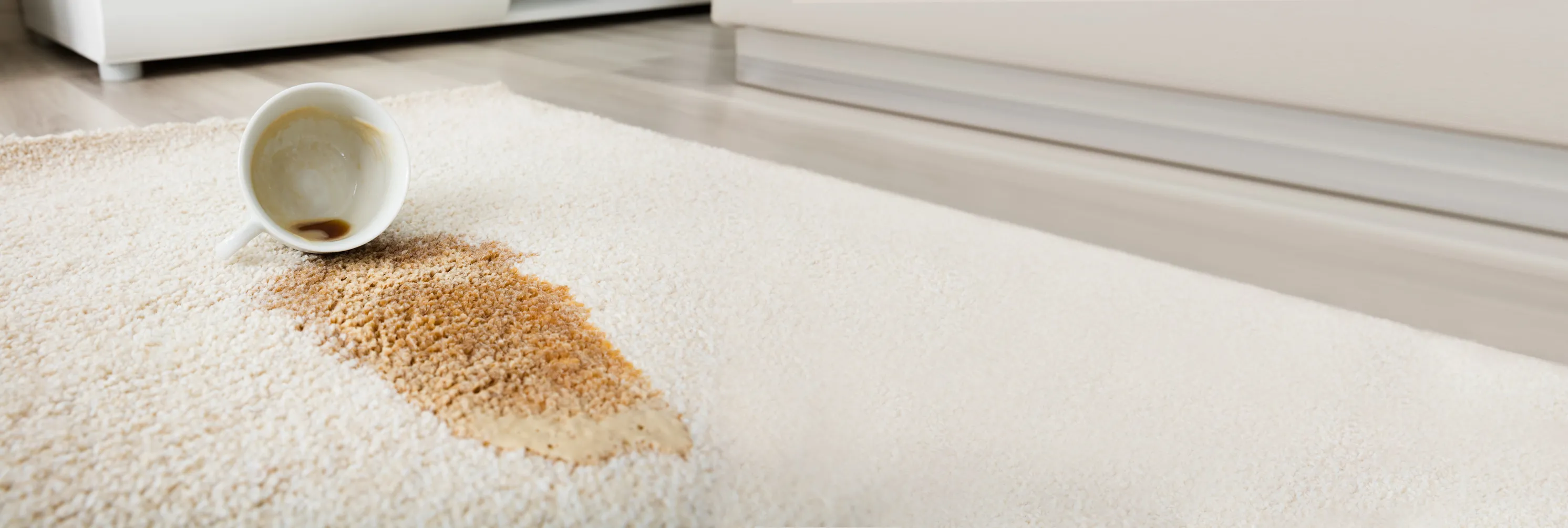 Coffee spilt on the carpet of a holiday let